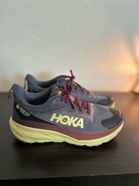 HOKA Challenger 7 GTX – Charcoal Grey/Cardamom